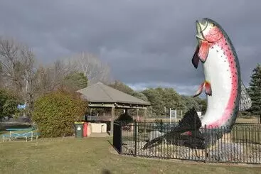 ホテル Selwyn Star Lodge