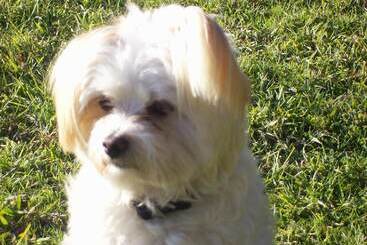 הוסטל Colonial Inn Guest Rooms