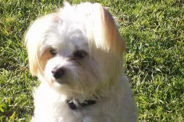 ユースホステル Colonial Inn Guest Rooms