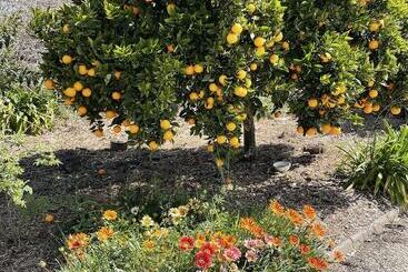 汽车旅馆 Byer Fountain Motor Inn