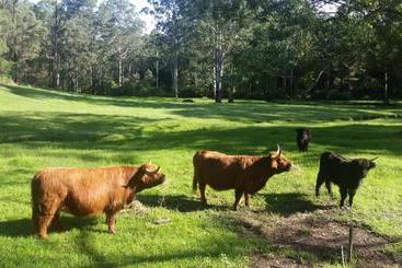 צימר Dingley Dell