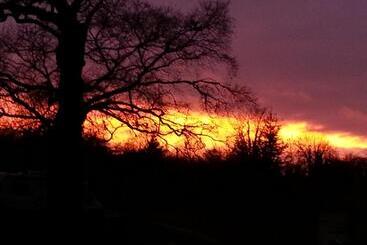 Bed and Breakfast Chambres D'hôtes Manoir Du Chêne