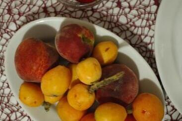 هتل Agriturismo Barbagia