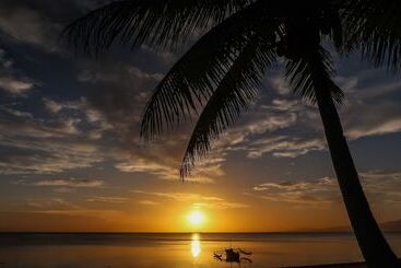 فندق Day Dream Guest House