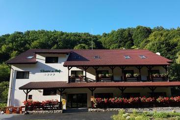 Pensiunea Floare De Colt