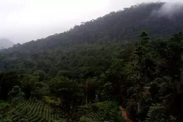 Hotelli Evergreen Villa  Sinharaja