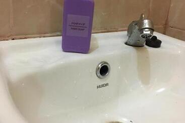 Отель Pines Mansion