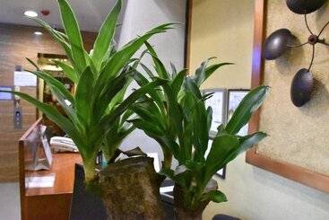 Hotell Avalu Residences