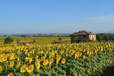 Bed & Breakfast Tuscan Style Ecofarm Molinaccio