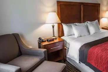 ホテル Comfort Inn Atkinsmarion I81