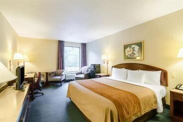 ホテル Comfort Inn & Suites