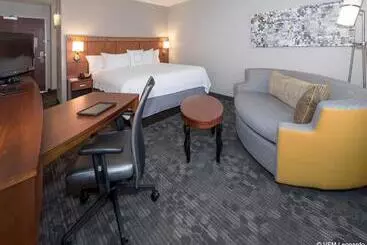 בית מלון כפרי Courtyard Bymarriott Albany