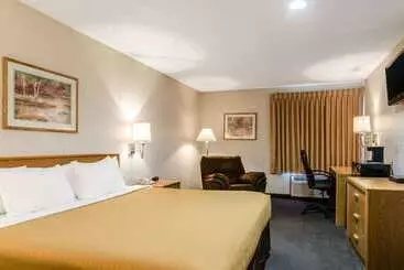 ホテル Rodeway Inn