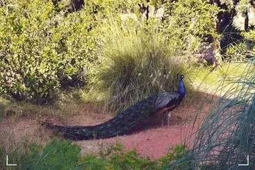 Majatalo Dar El Yasmine Biougra