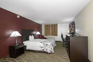 בית מלון כפרי Red Roof Inn Murray