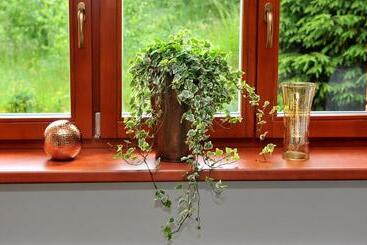 بنسيون Miramonti Penzión