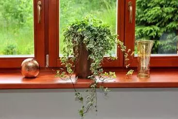 ペンション Miramonti Penzión