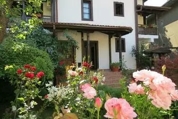 Pensiune Oazis Guesthouse
