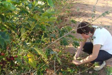 פנסיון Si­tio Vila Davero