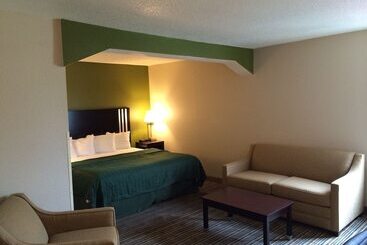 酒店 Quality Inn & Suites