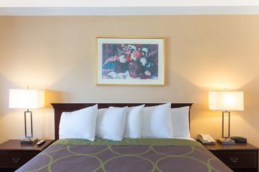 Отель Steinbeck Lodge