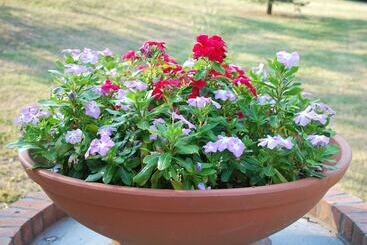 ベッドアンドブレックファースト La Casina Di Croxe