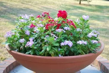 Bed and Breakfast La Casina Di Croxe