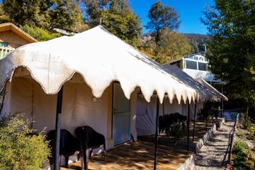 Hotel The Cocoon Camps & Nature Resorts