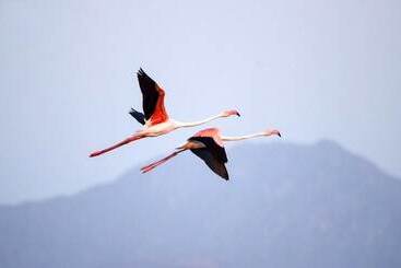 فندق Thour Nature Resorts