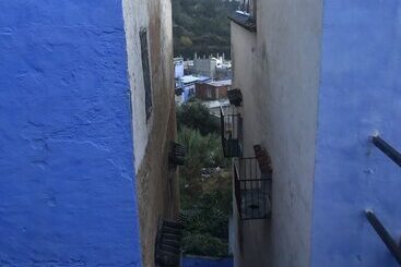 Pension Honeysunckle