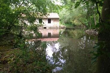 Pensionat Chambres D Hôtes Coté Halles