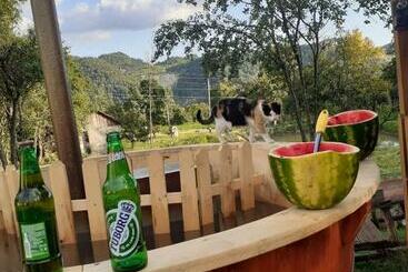 ペンション Retreat Sejour On Farmhouse ,roşia Montana, Acces Optional Hottube