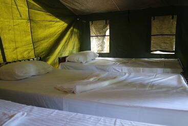 Hotel Dev's Campground