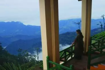 Hotel Meenmutty Heights