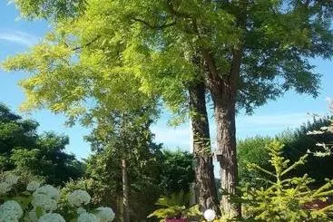 Mökkimajoitus Les Acacias