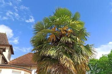 Bed & Breakfast Le Domaine De L'escadasse