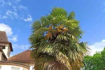 Bed and Breakfast Le Domaine De L'escadasse