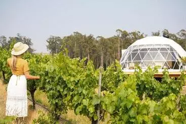 Pensió Domescapes In The Vines