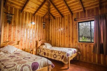 Apart Hotel Puchaley Lafquen