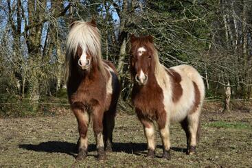Bed and Breakfast L écrin De Pradou Glas