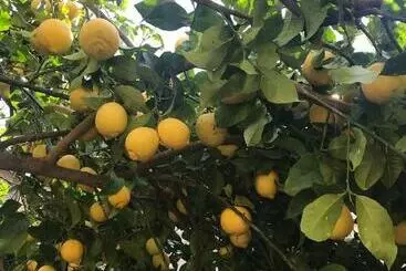 ペンション Casa Mia