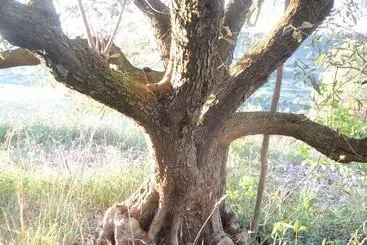 Pensjonat Eco Domaine & Spa Chambres D Hôtes