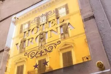 בית מלון כפרי Virginia