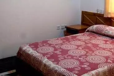 Hôtel Rainforest Lodge