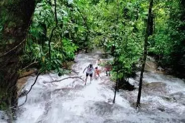 Hotel Khaosok River Camp