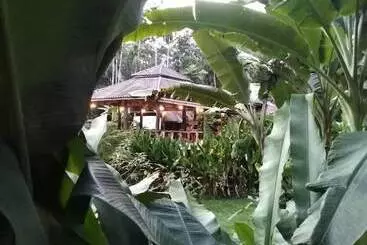 Hotel Khaosok River Camp