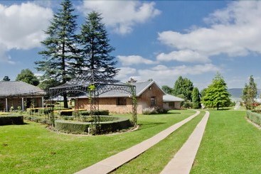 Отель The Zunguness