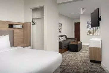فندق Springhill Suites By Marriott Atlanta Buford/mall Of Georgia
