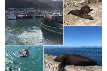 Bed & Breakfast The Little Palm