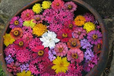 Otel Jim S Farm Villas